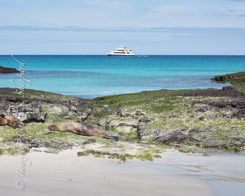 Galapagos Landscape-2918