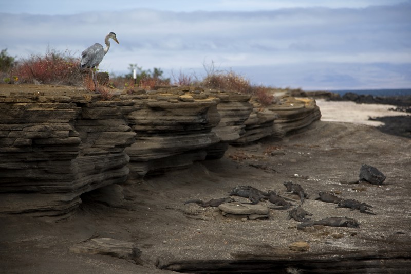 galapagos islands