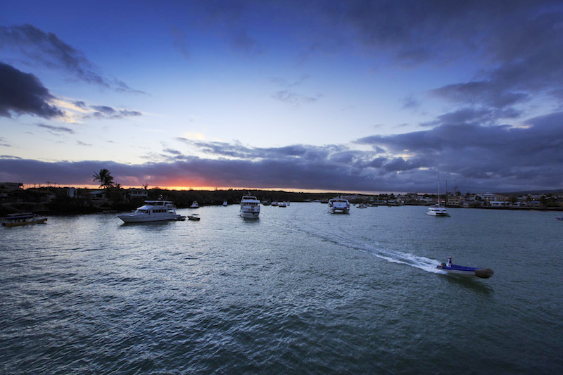 ECUADOR, Galapagos, Puerto Ayora, Sunset over Santa Cruz Island from the ship