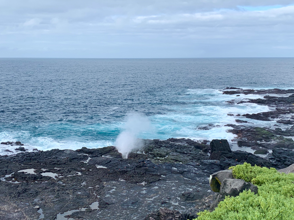  /></figure>
</div>
<p><!-- /wp:image --></p>
<p>Following a trip with Ecoventura to the Galapagos Islands with her family, US travel writer Kimberly Bloom explains why such a trip is ideal for families of all generations.</p>
<p>Traveling with a wide range of ages can be challenging. On a typical multigenerational trip, there is so much to navigate, organize and schedule – it is NOT an easy undertaking. Find lodging that meets everyone’s needs? Lots of work. Rent a house and cook? Time-consuming to shop for food and prepare meals. Stay in a hotel and eat out? Difficult to find reservations for large groups and restaurants suitable for all. Plan activities? Tough to find something everyone will enjoy. Even basic logistics like transfers can be problematic, spending hours finding a vehicle large enough for the group, or having to rent more than one.</p>
<p>So say goodbye to all the hassle – a multigenerational trip with Ecoventura is a breeze!</p>
<p>Absolutely everything is included and arranged for you, with the exception of your mainland flights. The Ecoventura team will even handle your inter-island flights! So, when you choose a multigenerational trip with Ecoventura on the Origin or Theory, all you need to do is wake up each day, enjoy the gorgeous scenery, and create beautiful memories with your family.</p>
<div class=