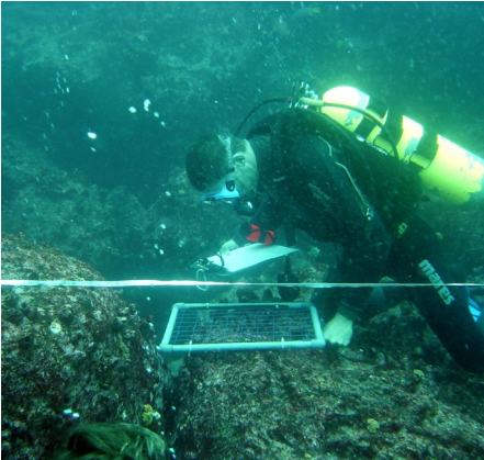 charles darwin research station 50th anniversary