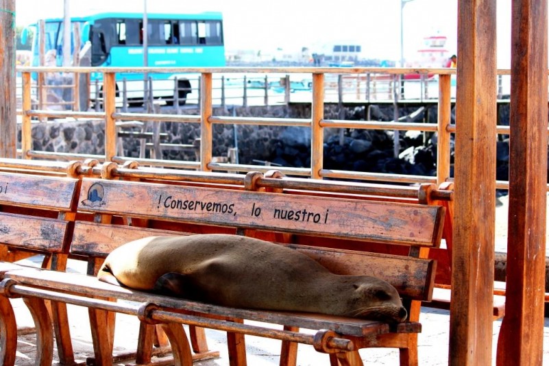 Galapagos Islands