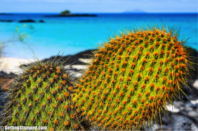 cruising with ecoventura in the galapagos islands