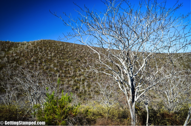 unique landscapes of the galapagos islands