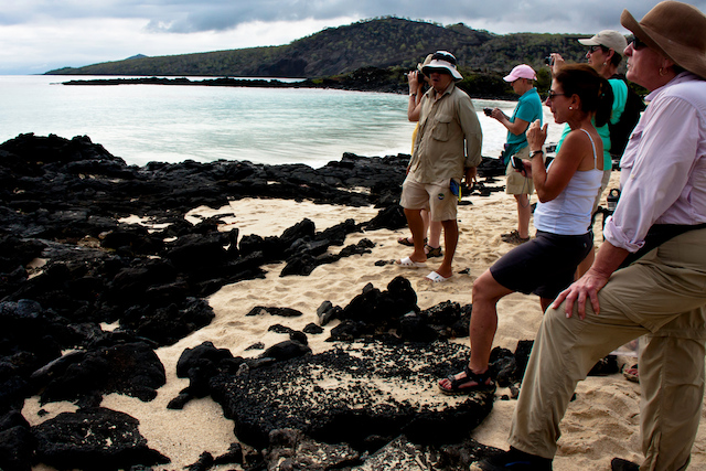 Punta Cormorant, Isla Floreana, Galapagos Islands, Ecuador.