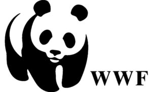 world-wildlife-fund-wwf-logo-panda-face-eyes-nose-mouth-black-white-fur-body-legs-type-illustration-graphic-image